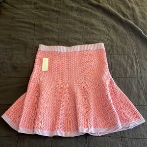 Anthropologie knit color block skirt